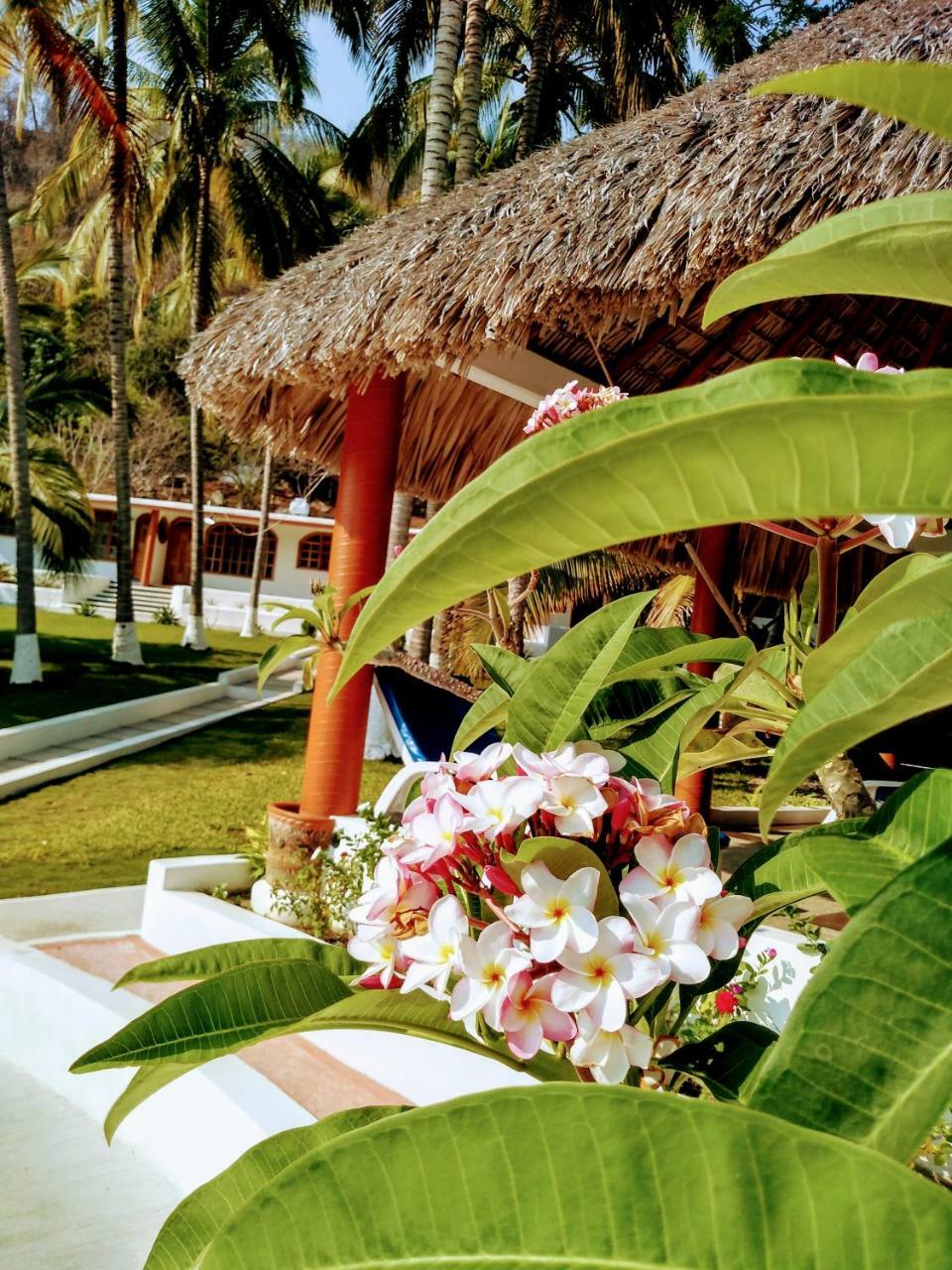 Hotel Y Club Campestre Altos Paraiso Пуэрто-Эскондидо Экстерьер фото