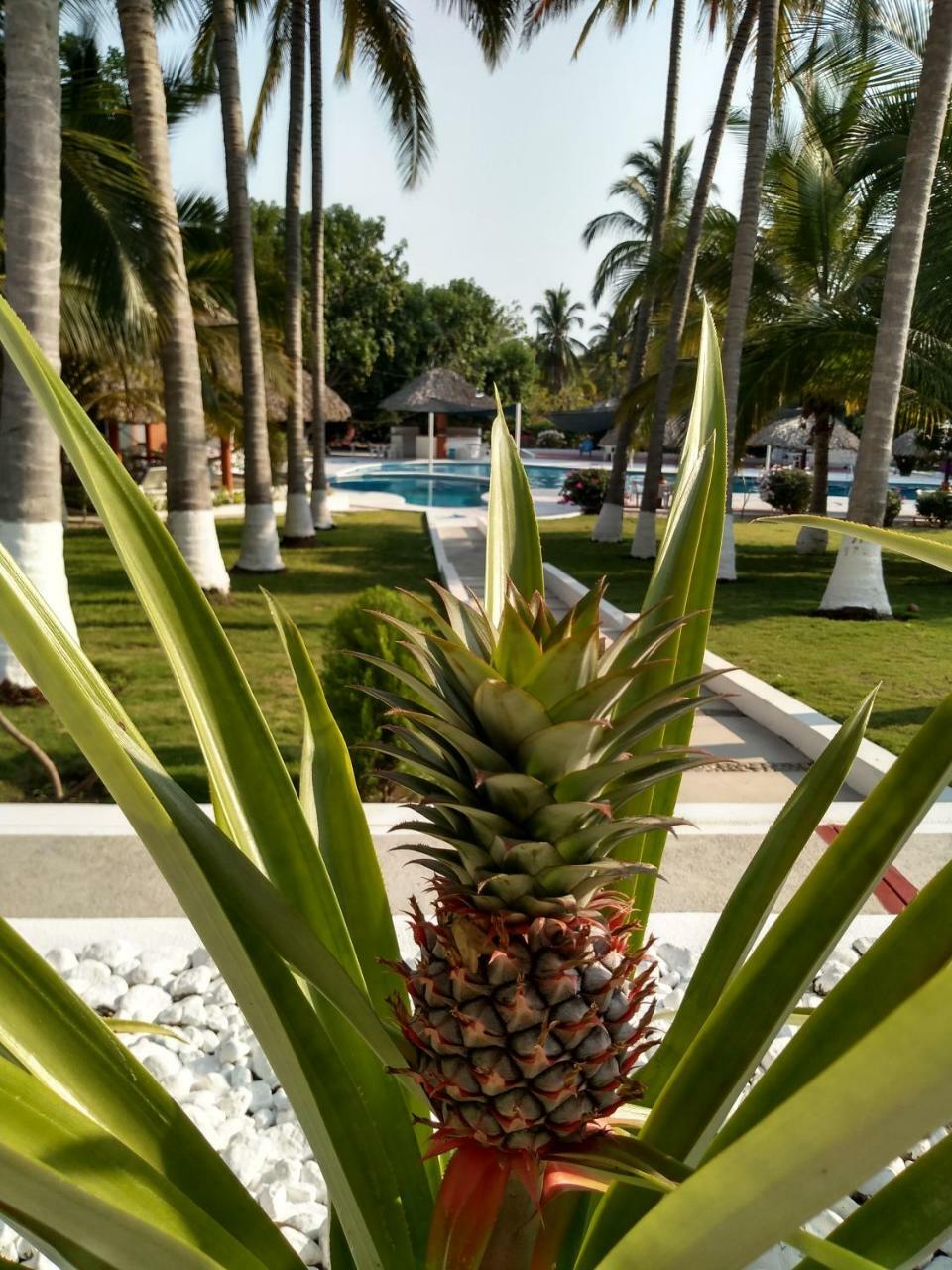 Hotel Y Club Campestre Altos Paraiso Пуэрто-Эскондидо Экстерьер фото